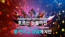 [MR / 노래방 멜로디제거] 철부지 - 존박 (KY Karaoke No.KY87410)