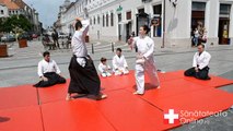 Interviu Sitescu Ana-Maria - Sensei Aikido Oradea, Daitoryu Dojo