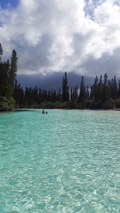 Piscine naturelle