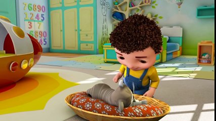 Can   Kediye Yardım