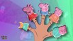 PEPPA PIG CAKE POP FINGER FAMILY SONG DADDY FINGER LOLLIPOP CANDY SONG WITH LYRICS video snippet