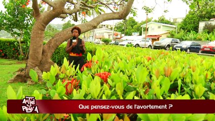 ATPA 18 04 16 QUE PENSEZ AVORTEMENT CATHERINE BONNIER OK