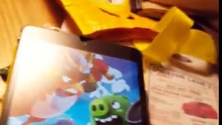 TOAD PLAYS ANGRY BIRDS FIGHT (FAIL)