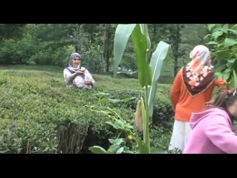 Servet Şahin - Tozanlı Köyleri