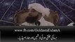 Emotional Speaech About Burmaza By Allama Peerzada Muhammad Raza SaQib Mustafai - Video Dailymotion