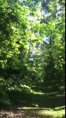 Black single moms don't be discouraged by anti women men