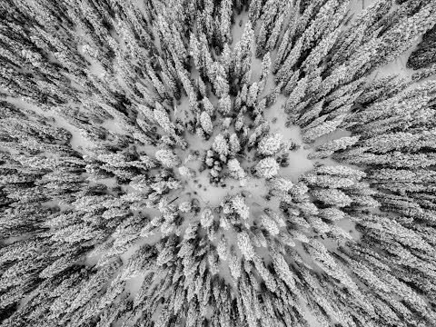 Snowstorm Blankets Breckenridge, Colorado