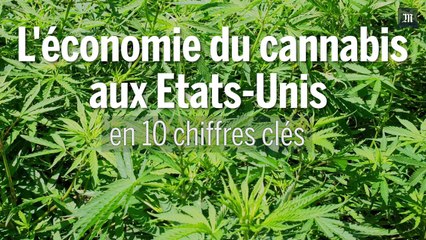 Etats-Unis : l'économie du cannabis en 10 chiffres