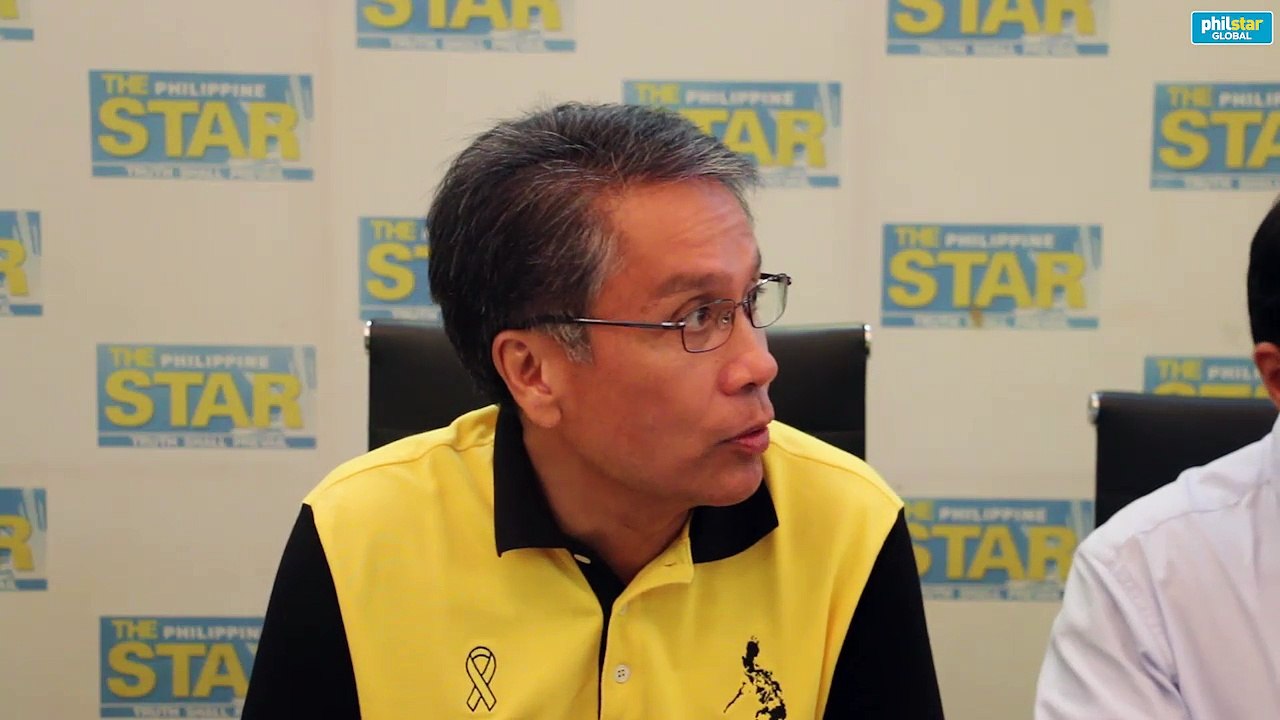 Roxas: I am the only one who actually provided jobs. - video Dailymotion