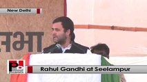 Delhi polls: Rahul Gandhi addresses Congress rally, targets BJP, AAP