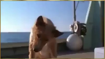 Buat airmata menitis menyaksikan kebesaran Allah ini...Terharu dan sangat kagum.