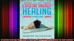 Read  Crystal Energy Healing Chakras Pendulums Wands in full colour  Full EBook