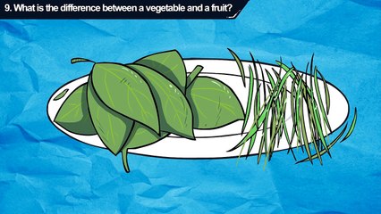 Life Mysteries About Food