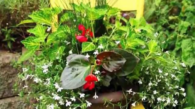 CREATIVE garden ideas so beautiful diy projects