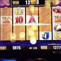 Buffalo Slot Red Earth Casino MAX BET  BONUS LINE HIT!!