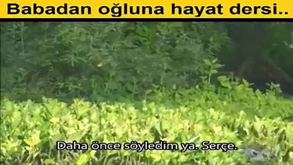 Babadan oğula hayat dersi