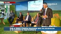 CorriereSalentino - CIA e INAIL Puglia insieme per la sicurezza in agricoltura - (17-10-2015)