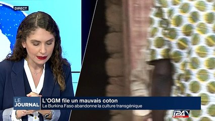 L'OGM file un mauvais coton au Burkina Faso