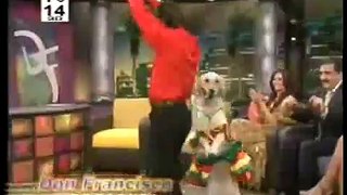 Perro bailando con su deño [Espectacular!!]