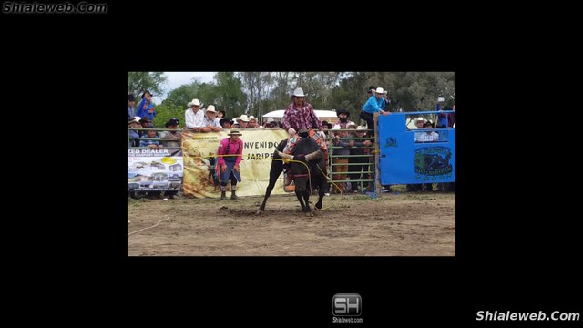 SUPER JARIPEO RANCHERO EXTREMO LAS MEJORES MONTAS DE LA SEMANA LOS MEJORES DUELOS DE JINETES VS TOROS BRAVOS ABRIL 2016