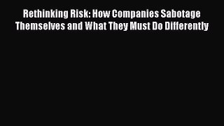 Read Rethinking Risk: How Companies Sabotage Themselves and What They Must Do Differently Ebook