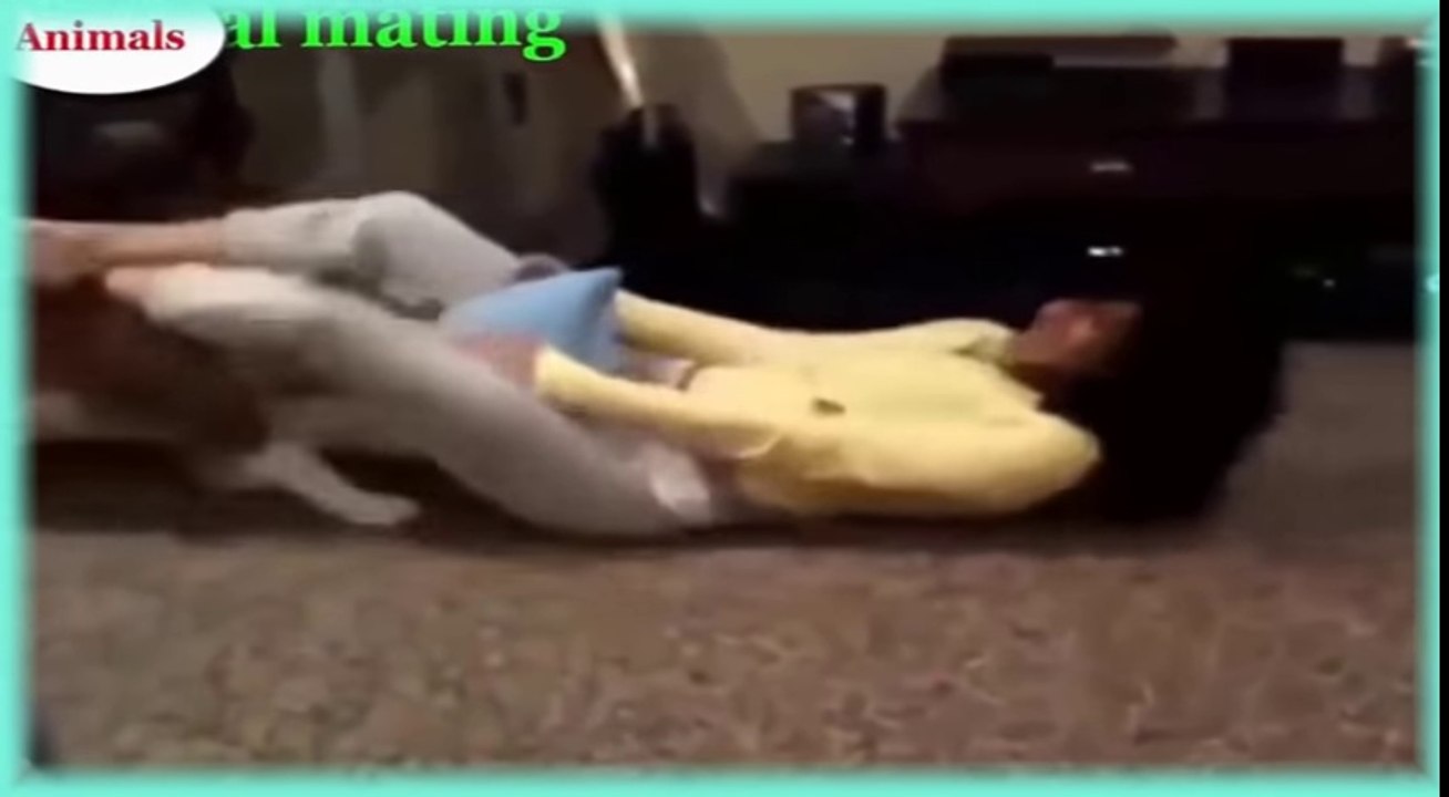 Funny Animal Actions with Females
