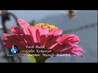 Fatih Budak - Güller Kıskanıyor