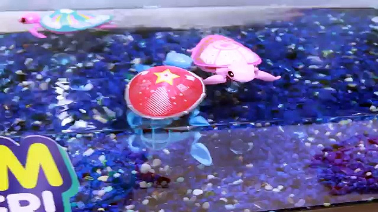 Moose Toys NEW Little Live Pets with Betty Spaghetty and Qixels 3D Star Wars The Force Awakens Toys