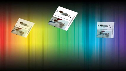 Clipping Path Service