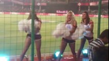 IPL Hot cheer Girl Sexy Dance