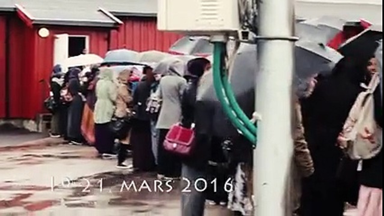 Peace Conference Scandinavia 2016 - Offisiell Trailer