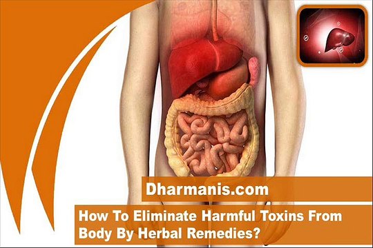 How To Eliminate Harmful Toxins From Body By Herbal Remedies?