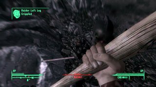 Fallout 3: 2 glitches