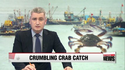 Crab catch in West Sea falls 70% due to illegal Chinese fishing