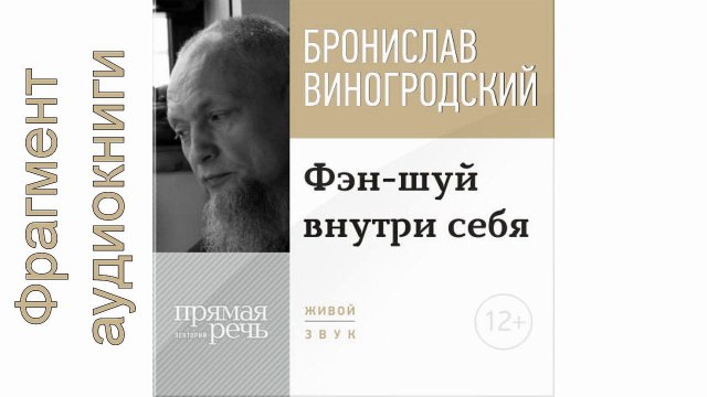 Лекция «Фэн-шуй внутри себя». Бронислав Виногродский. Фрагмент