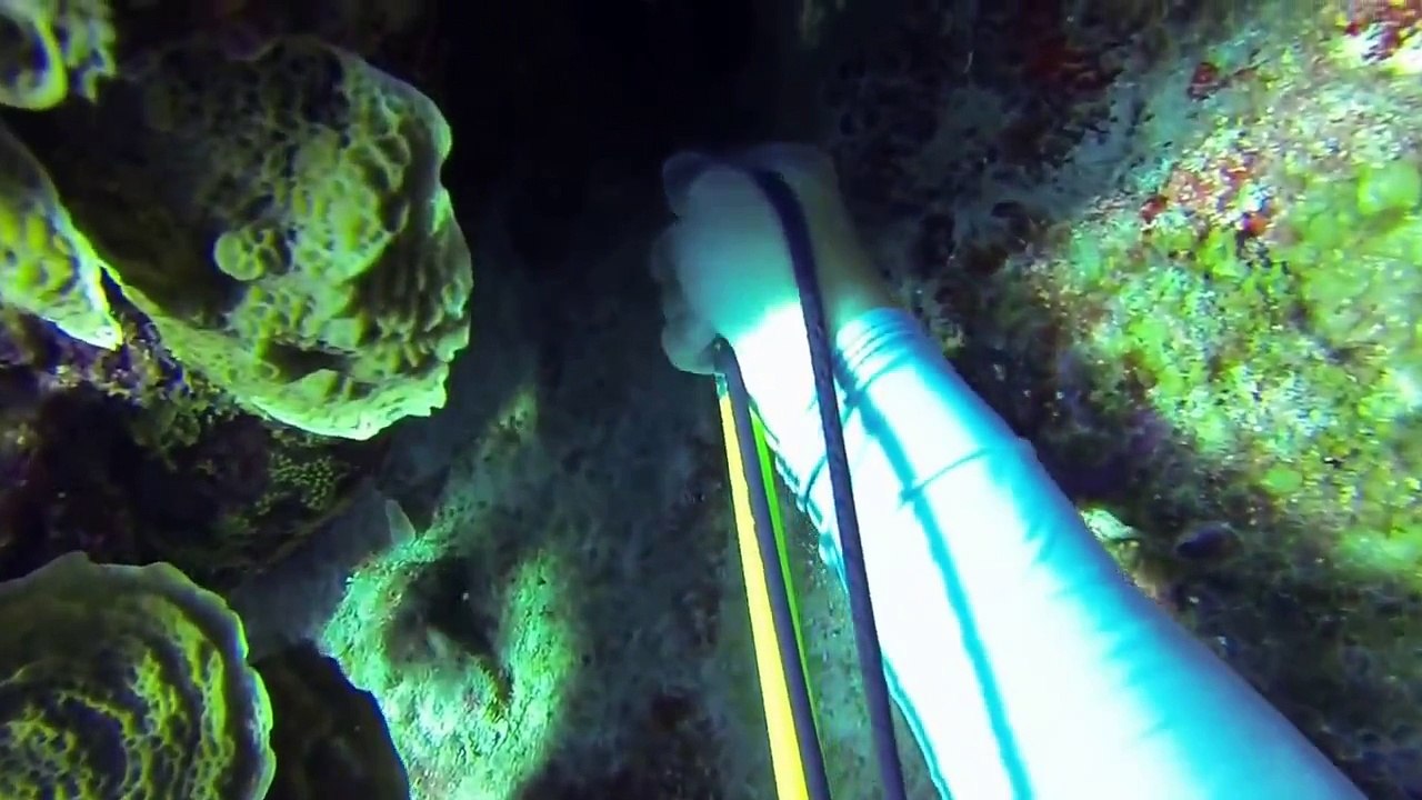 This Diver Survived a Shark Attack and He has the GoPro Footage to Prove It