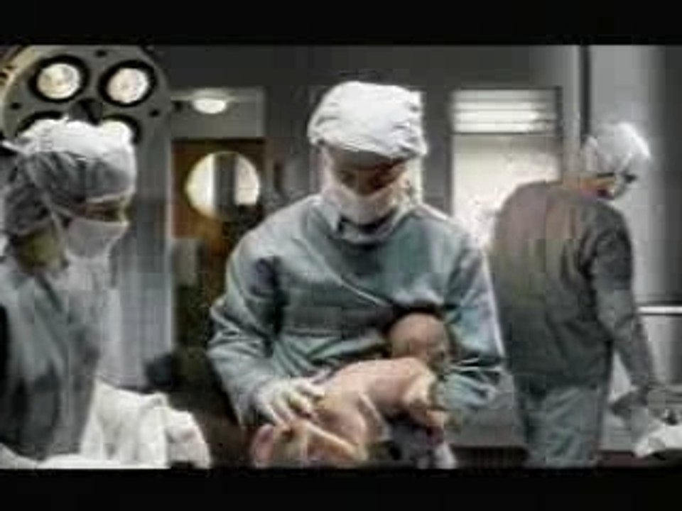 Naissance d'un bébé : touche pas à mon BB