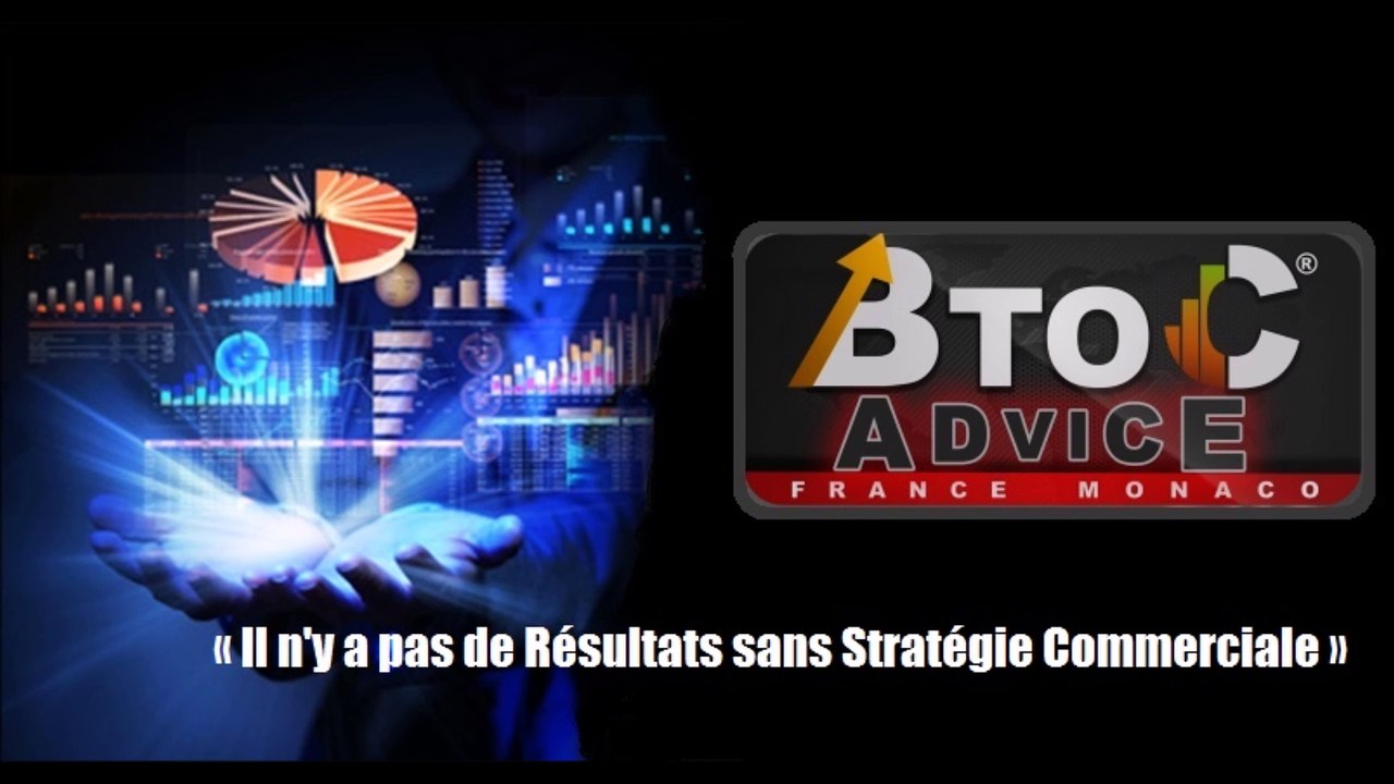 BTOCADVICE CONSULTANT MARKETING EXPERT EN ORGANISATION COMMERCIALE
