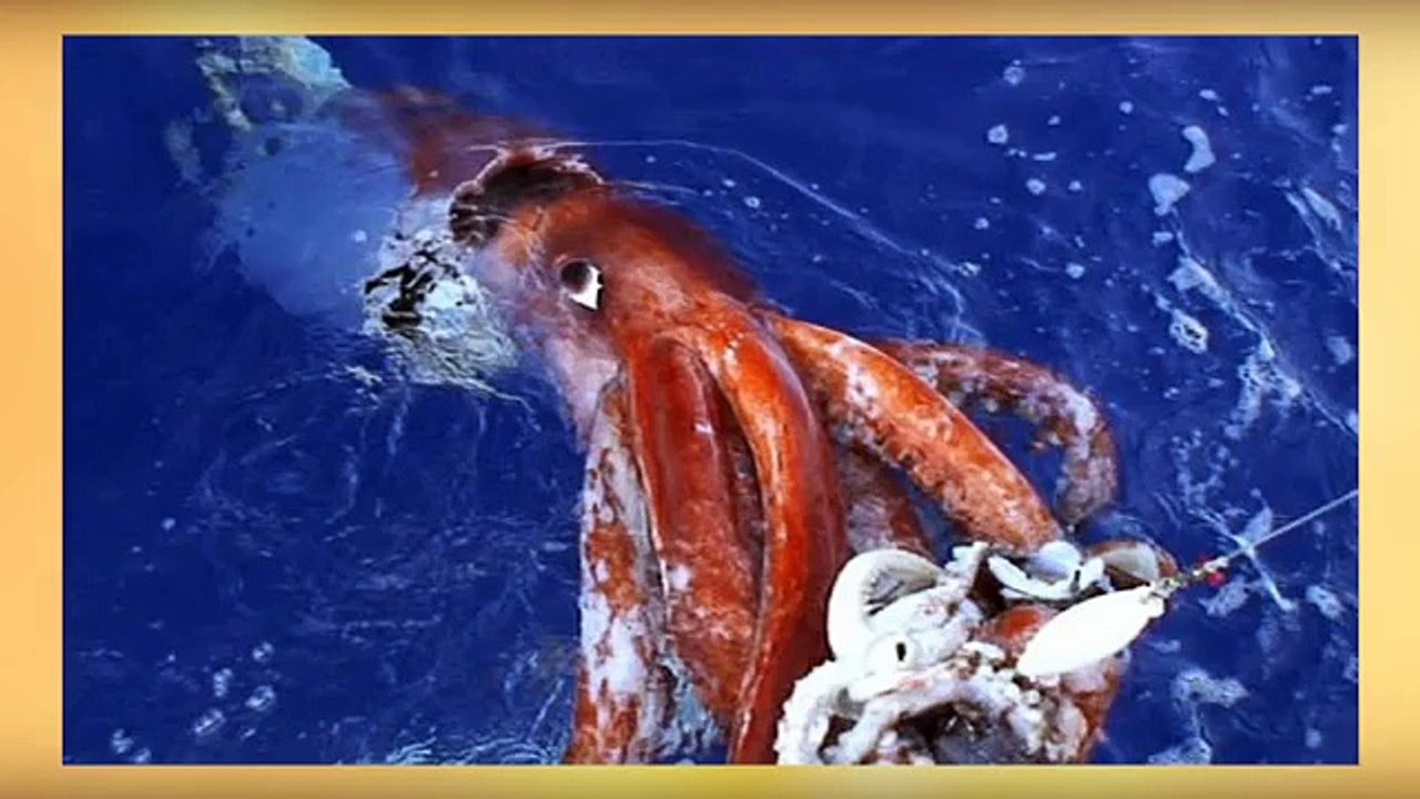 Top 30 Sea Creatures