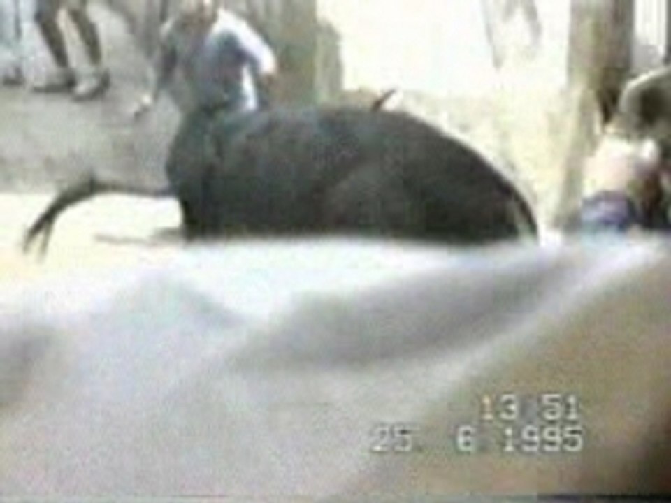 Bull Toréré Matadore