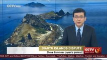 Diaoyu Islands dispute China dismisses Japan's protest