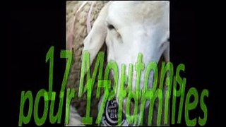 Ness El Khir Setif 17 moutons 3id 2012