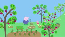 Peppa Pig English Episodes | Frogs And Worms And Butterflies (full episode) | Kids Game TV