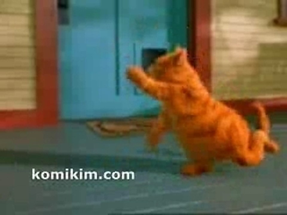 Kedi