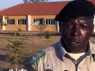 Angola: lutter contre le braconnage, la nouvelle guerre