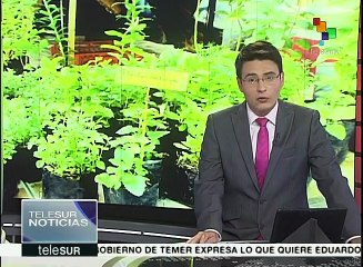 Nicaragua capacita a trabajadores de la salud en medicina natural