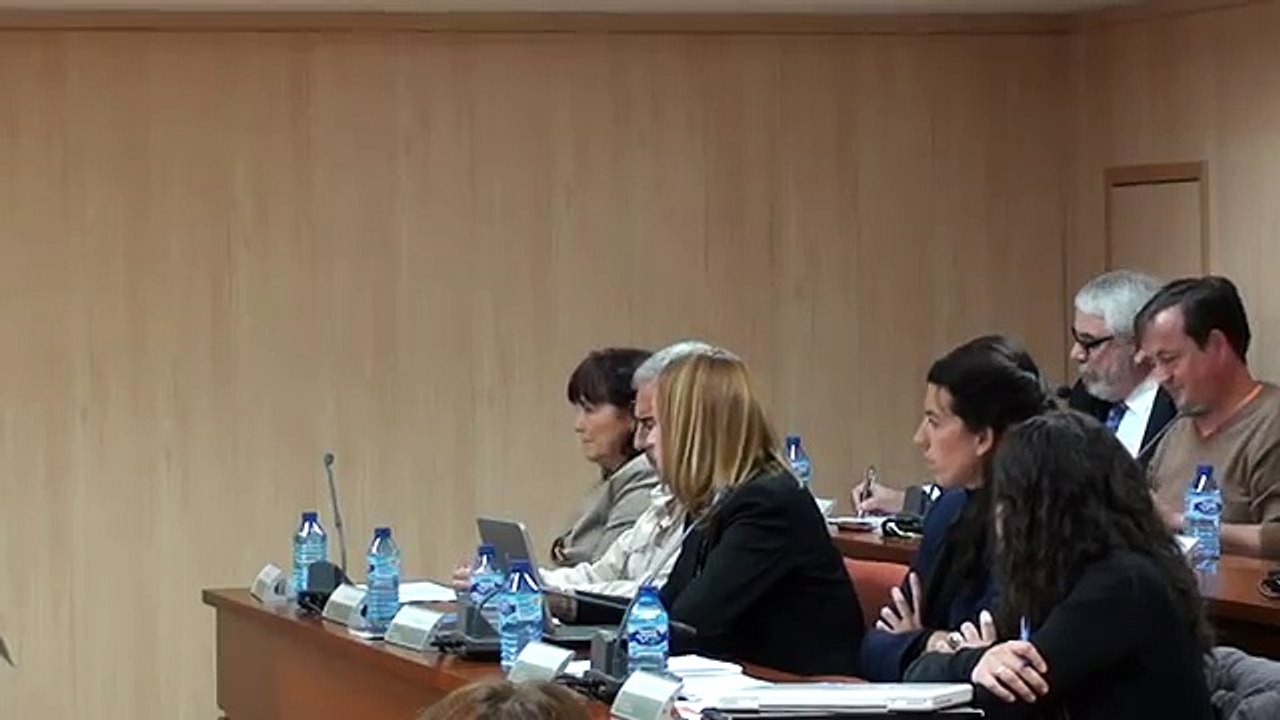 Pleno Ordinario 25-01-2012-parte03