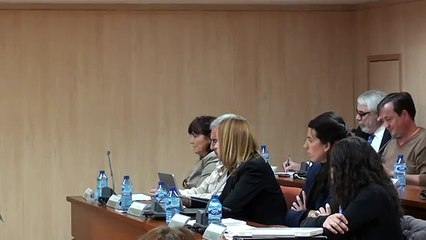 Pleno Ordinario 25-01-2012-parte03