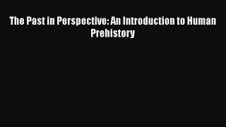 Read Full The Past in Perspective: An Introduction to Human Prehistory E-Book Free
