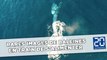 Rares images de baleines en train de s’alimenter filmés par drone